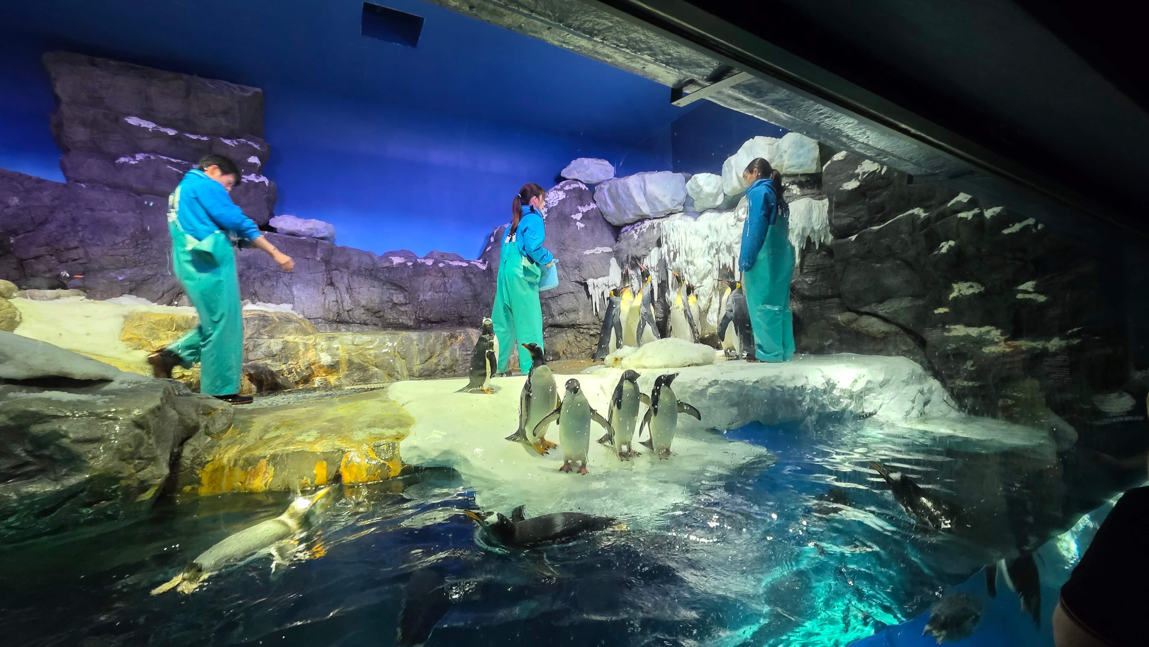 /images/Osaka/Osaka%204/aquarium%202.jpg