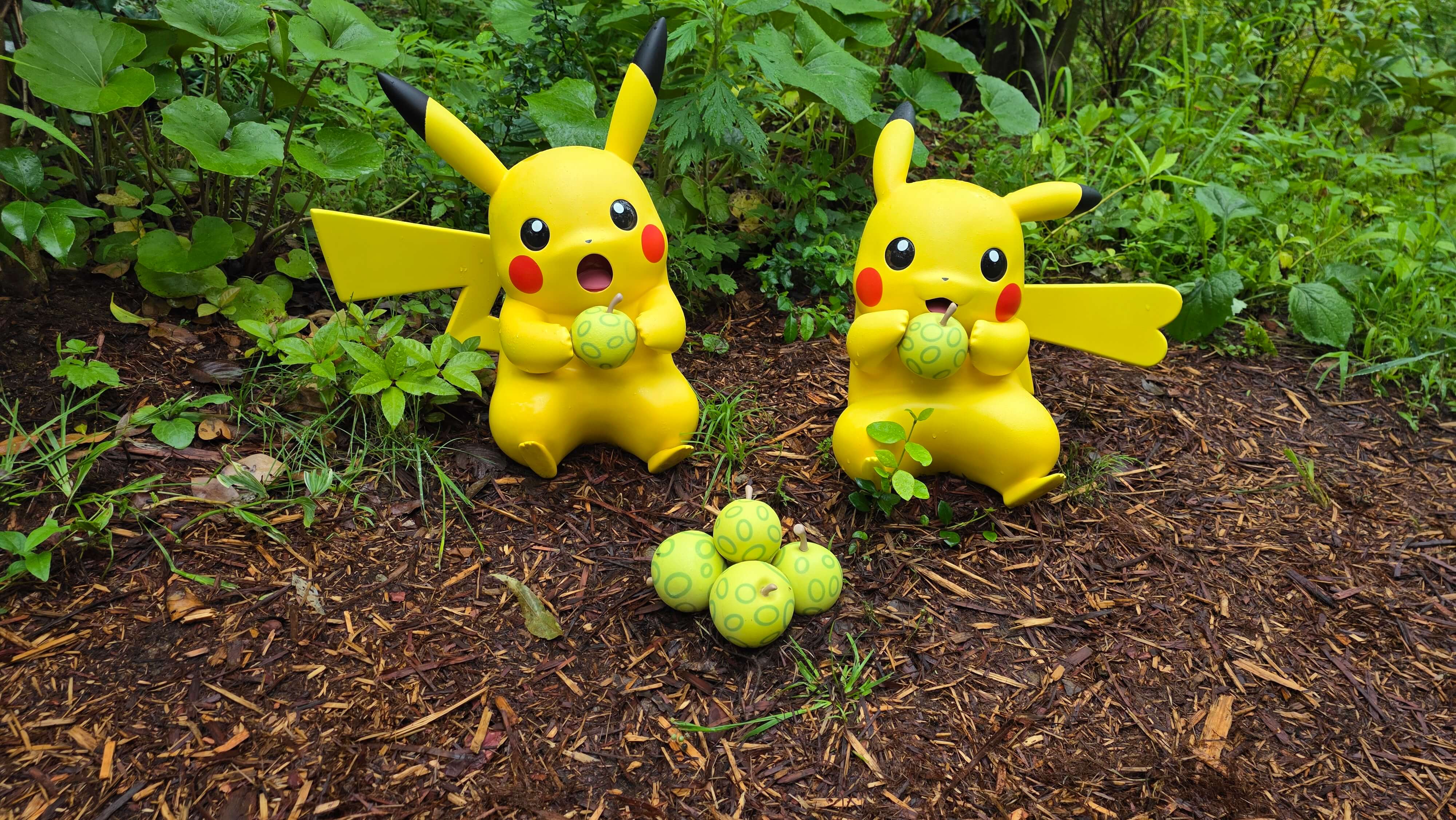 /images/Tokyo/Tokyo%20Pokepark/foret%203.jpg