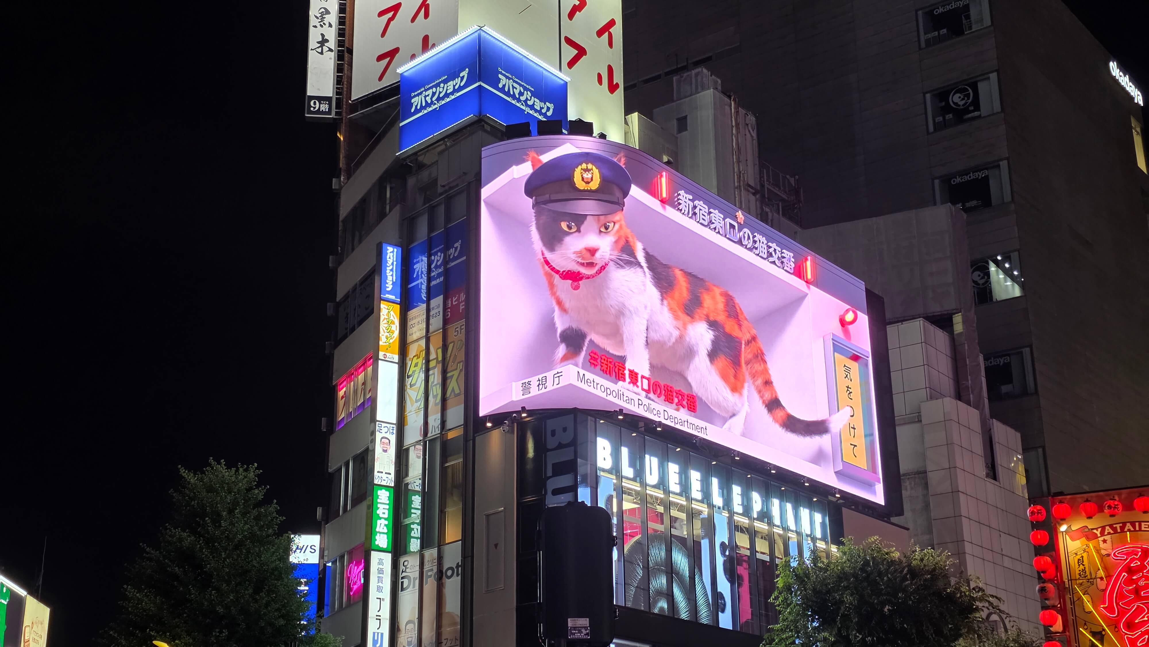 /images/Tokyo/Tokyo%20Shinjuku%204/chat%20nuit.jpg /images/Tokyo/Tokyo%20Shinjuku%204/chat%20nuit.jpg