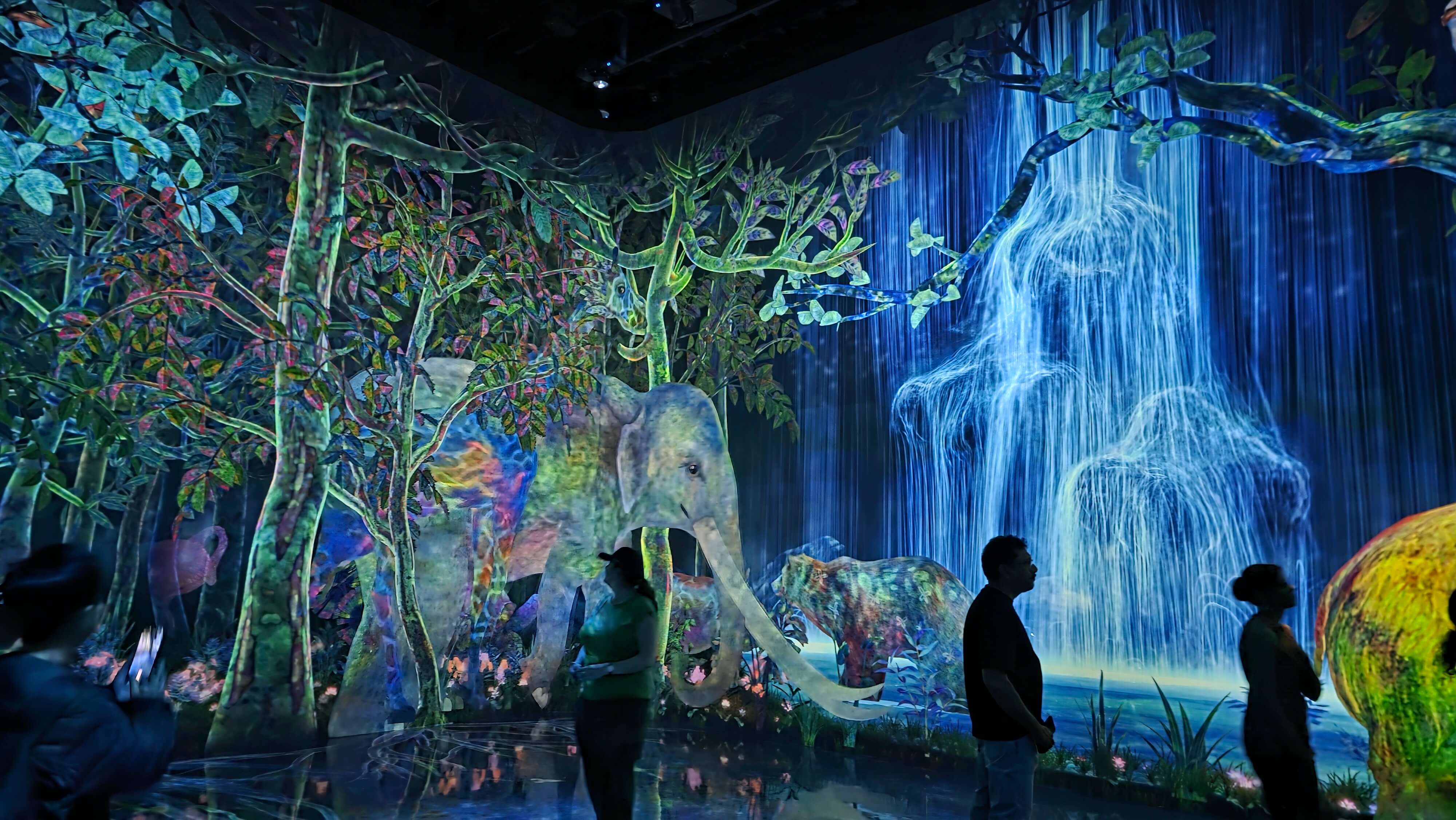 /images/Tokyo/Tokyo-Koto%201/teamlab1.jpg