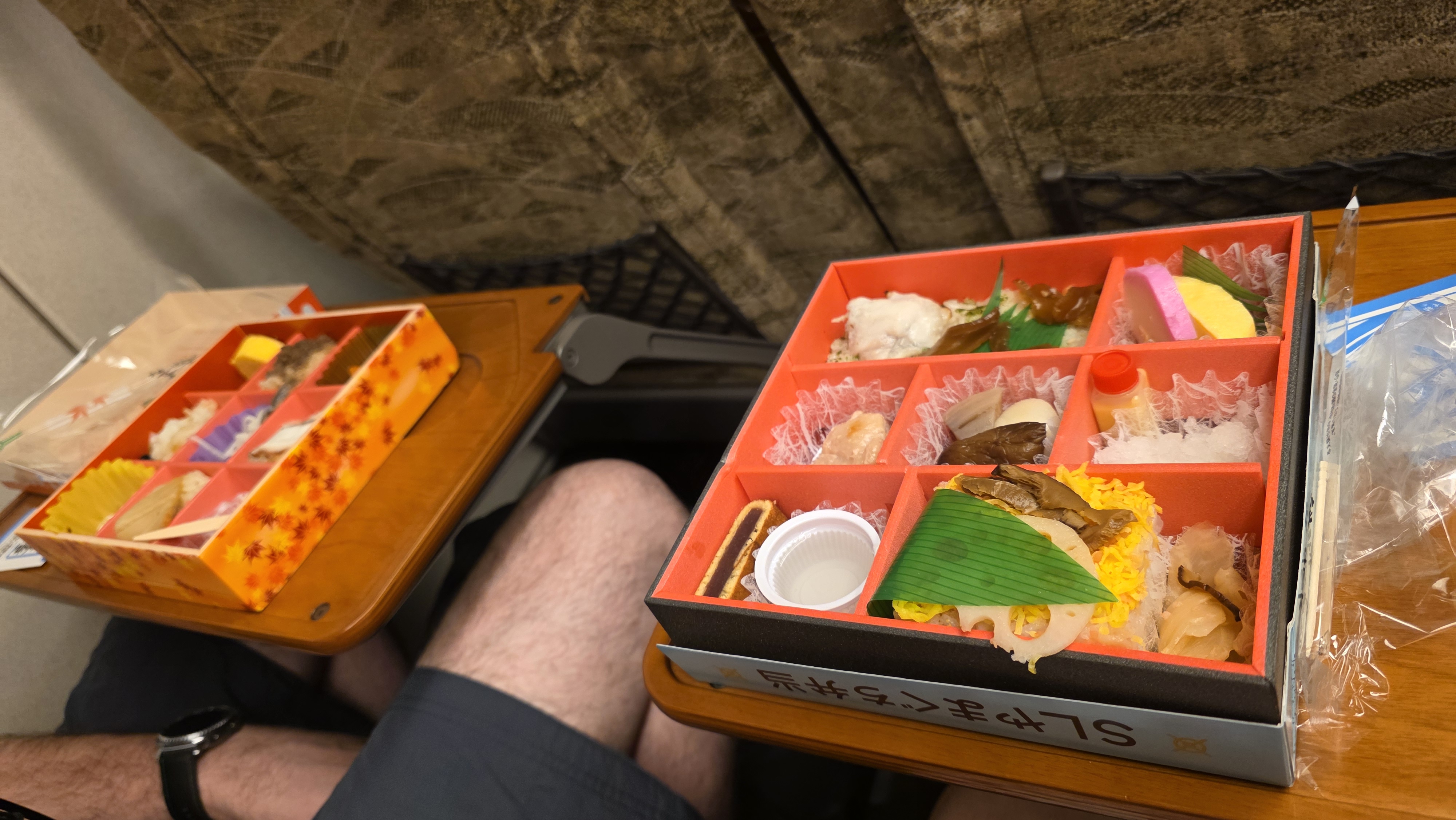 /images/himeji/bento%20train.jpg