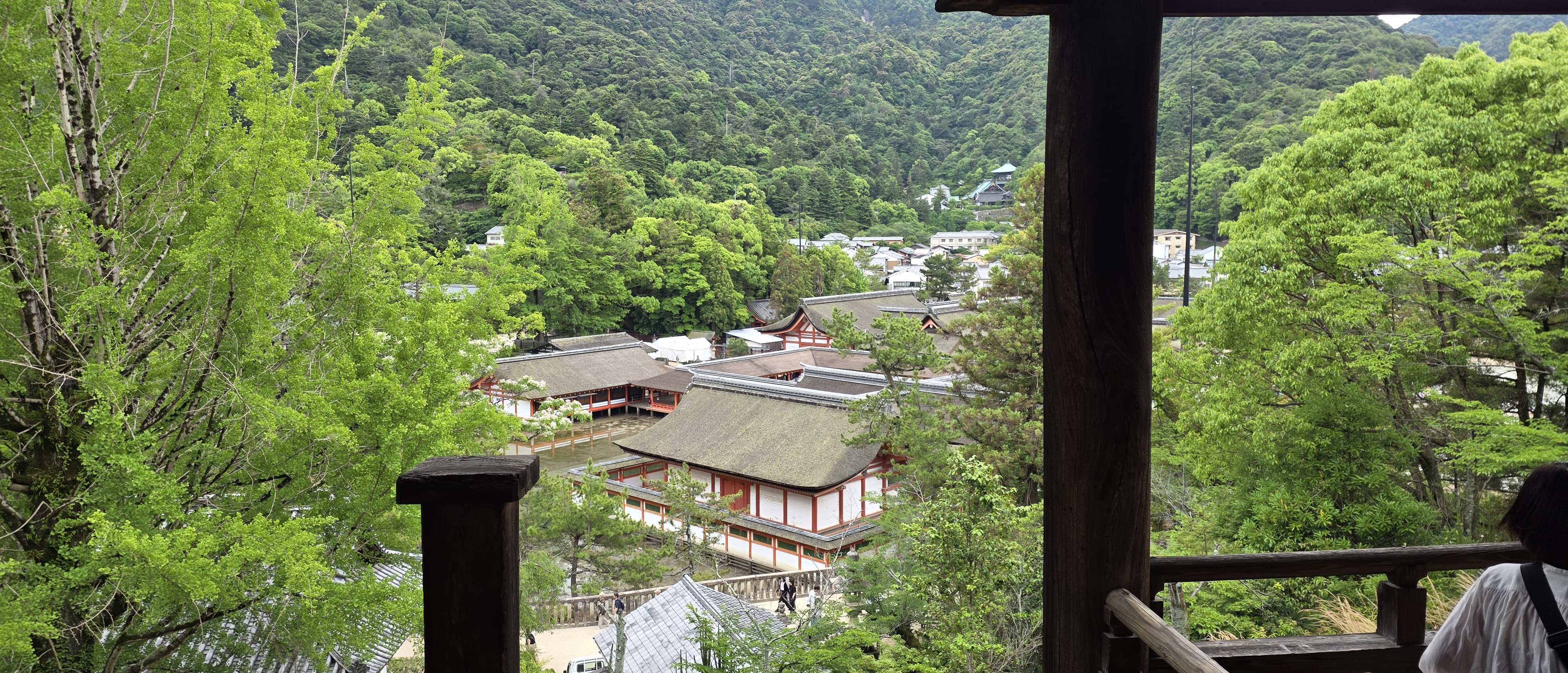 /images/miyajima/Miyajima%20vue%20de%20haut.jpg